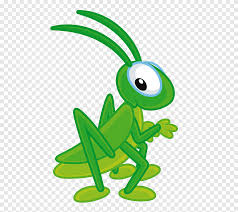 Cartoon cricket insect illustrations & vectors. Green Grasshopper Illustration Insect Cricket Small Grasshopper Leaf Insects Png Pngegg