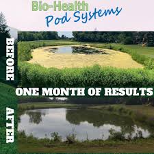 If you have a pond with muck floating at the top or even suspended in the water, a submersible trash pump is the ideal pump for removing the sludge because it will not damage the pump in the process. Muck Eater Bio Health Pod Posts Facebook