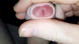 It shows that you're a man. Up Close And Personal With My Veiny Rock Hard Cock Twink Sprays Cum Thumbzilla