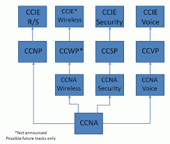 Questions Pertaining To It Certifications