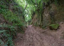 The Mysterious Beauty of Shutes Lane Dorset: A Hidden Holloway You Must Explore