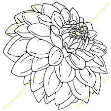 Pin On Flower Line Drawings