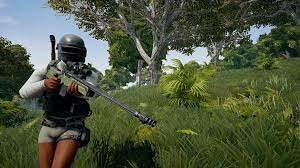 Pubg Lite Pc Download Free Download For Windows Pc
