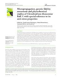 Image result for Clerodendrum lutambense