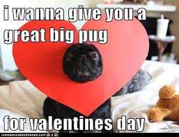 40 hilarious memes that describe how you really feel about valentine's day. Valentine S Day Memes Popsugar Middle East Tech