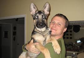 Wayne Hebert Obituary (2013)