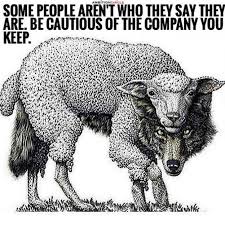 She just changes what tree she sleeps in. 20 Strong Wolf Quotes To Pump You Up Wolves Wolfpack Quotes