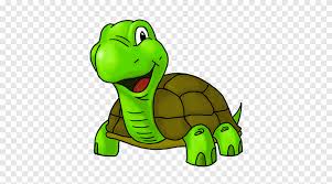 To draw a cartoon turtle, draw an oval, with a flatter oval slightly underneath of it. Turtle Cartoon Drawing Turtle Animals Fauna Png Pngegg