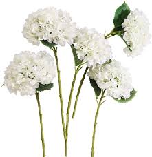 We did not find results for: Buy Party Joy 5pcs Artificial Hydrangea Silk Flowers Bouquet Faux Hydrangea Stems For Wedding Centerpieces Home Decor White 5 Online In Indonesia B07dcqm2s4