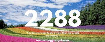 2288 Angel Number Meaning And Symbolism Numerology Angel Angel Number Meanings Number Meanings Numerology