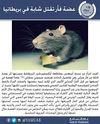 عضة فأر تقتل شابة في بريطانيا لقيت امرأة من مدينة أبينغدون بمقاطعة أوكسفوردشير البريطانية مصرعها إثر عضة قاتلة من فأر منزلي وذكرت صحيفة ديل animals hamster