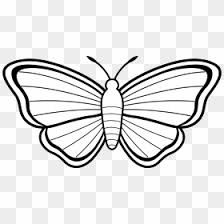 There is also a row of white dots on the base of the black hind wings. Free Butterfly Wing Png Images Hd Butterfly Wing Png Download Page 2 Vhv