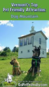 Artist stephen huneck and his wife, gwen, bought the property in 1995. Vermont S Top Pet Friendly Attraction Dog Mountain