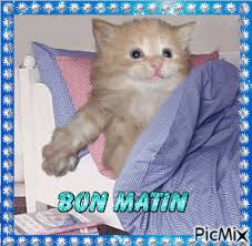 Je me leve, je me lave. Bon Matin Moi Je Me Leve Picmix