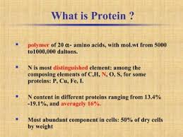 Pdf) Comparison Of The Kjeldahl Method, Dumas Method And Nir Method For  Total Nitrogen Determination In Meat And Meat Products