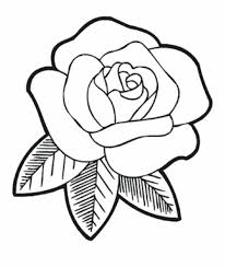 Rose Flower Drawing Easy Step By Step Simple drawing sketch roses outline. rose flower drawing easy step by step