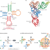 Innerhalb des zellkerns befindet sich die erbinformation in form der dna. Https Encrypted Tbn0 Gstatic Com Images Q Tbn And9gctvnrezochre8wq8rxysxhajlac6ln91pumfsyy Emeihz4nrkb Usqp Cau