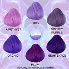 Violet Hair Colour Chart Best Picture Of Chart Anyimage Org