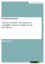 Beantragen sie die hilfe zur pflege so früh wie möglich. Das Neue Sgb Xii Die Reform Der Sozialhilfe Und Deren Folgen Grin
