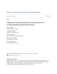 Image result for Radinosiphon leptostachya