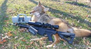 Check spelling or type a new query. Gun Gear Review Atn X Sight 4k Pro Scope And Palmetto State Armory 6 5 Creedmoor