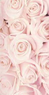 45 Beautiful Roses Wallpaper Backgrounds For Iphone In 2020 Best Flower Wallpaper White Roses Wallpaper Flower Wallpaper