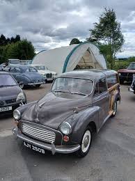 Image result for Rose Taupe 1964 Morris