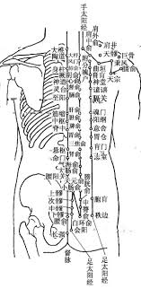 背部除了督脉和膀胱经 还有一条 线路 不可小觑 body our body sheet music