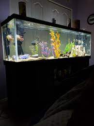Ever wonder about sleeping with breathtaking view from the fish tank bed upside ? My Bedroom Tank Aquariums