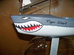 Pin On Kayaks