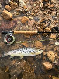 Red Ribbon Trout Fishing On The Meramec River Mo Outdoors