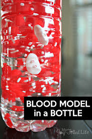 Pin On Biology For Kids