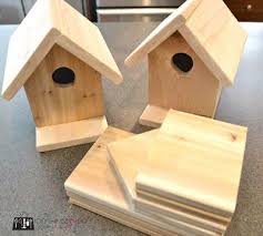 Sevimli Kus Yuvalari Yapimi Diy Yesil Parmak Kus Yuvalari Kus Evi Planlari Kus Evi