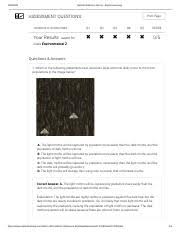 The initial population of 40 moths is scattered over 20 tree trunks. Natural Selection Gizmo Explorelearning Pdf Natural Selection Gizmo Explorelearning Assessment Questions Print Page Jenarosity Goodjoines Q1 Q2 Q3 Course Hero
