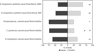 Dr jackson's 03 everyday oil. Floral Odors And The Interaction Between Pollinating Ceratopogonid Midges And Cacao Springerlink
