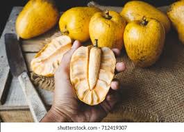 Image result for Annona reticulata