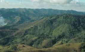 Image result for Erythrococca ulugurensis