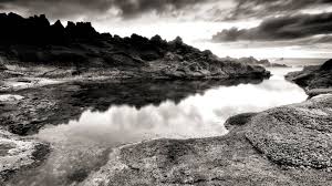 Black And White Nature Wallpapers Wallpaper Cave Tons of awesome 1920x1080 wallpapers nature to download for free. black and white nature wallpapers