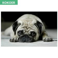 2017 5diy Elmas Nakis Hayvan Kopek Pug Kucuk Evcil Hayvanlar 5 Elmas Boyama Capraz Dikis 3d Elmas Mozaik Igne Noel Diamond Mosaic Diamond Embroiderymosaic Needlework Aliexpress