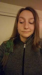 I gave pineapple some cat toys, he seems to enjoy the blue one the most!  Does anyone know any other good toys for conures?