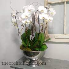 Call Us Today To Place Your Order 905 731 5827 Orchid Florist 7787 Yonge Street Thornhill On Orchid Florist Flower Delivery Florist