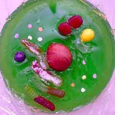 We did not find results for: 10 Jello Science Experiments