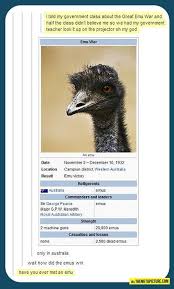 The Emu War Tumblr Funny Funny Pictures Emu War