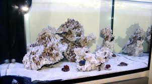 1.2.1.6 aquascaping reef tank ideas. The Use Of Negative Space In The Reef Aquarium Aquascape Reef Builders The Reef And Saltwater Aquarium Blog