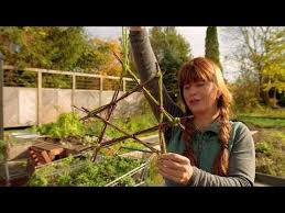 Querbeet Garten Tipp Adventsstern Basteln Youtube Querbeet Basteln Garten