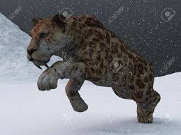 Check spelling or type a new query. Ice Age Sabre Toothed Tiger Prowling Through Snow Storm On Frozen Stock Photo Picture And Royalty Free Image Image 24760997