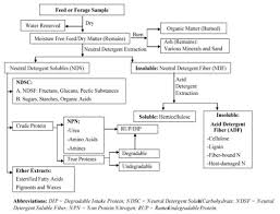 Common Terms Used In Animal Feeding And Nutrition Uga Cooperative Extension