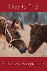 How To Do Keyword Research On Pinterest Horses Pinterest For Business Pinterest Keywords