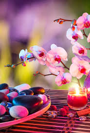 Fond D Cran Zen Attitude Avec Hd Iphone X 8 7 6 Zen Attitude Free Idees Et Zen Attitude 3wallpapers Iphone Paralla Fond Ecran Zen Paysage Zen Fond Ecran Iphone