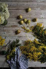 Wistfully Country From My Dining Table Mimosa Orange Blossom Mimosa Flower